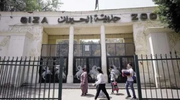 متى تستأنف حديقة الحيوان في الجيزة استقبال الزوار بعد الإغلاق الطويل؟